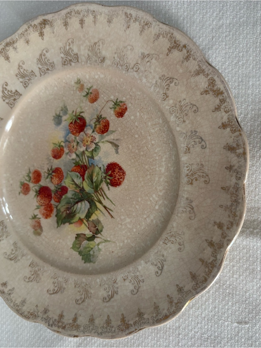 Vintage-Style Strawberry Floral Ceramic Dinner Plate - Cream and Red